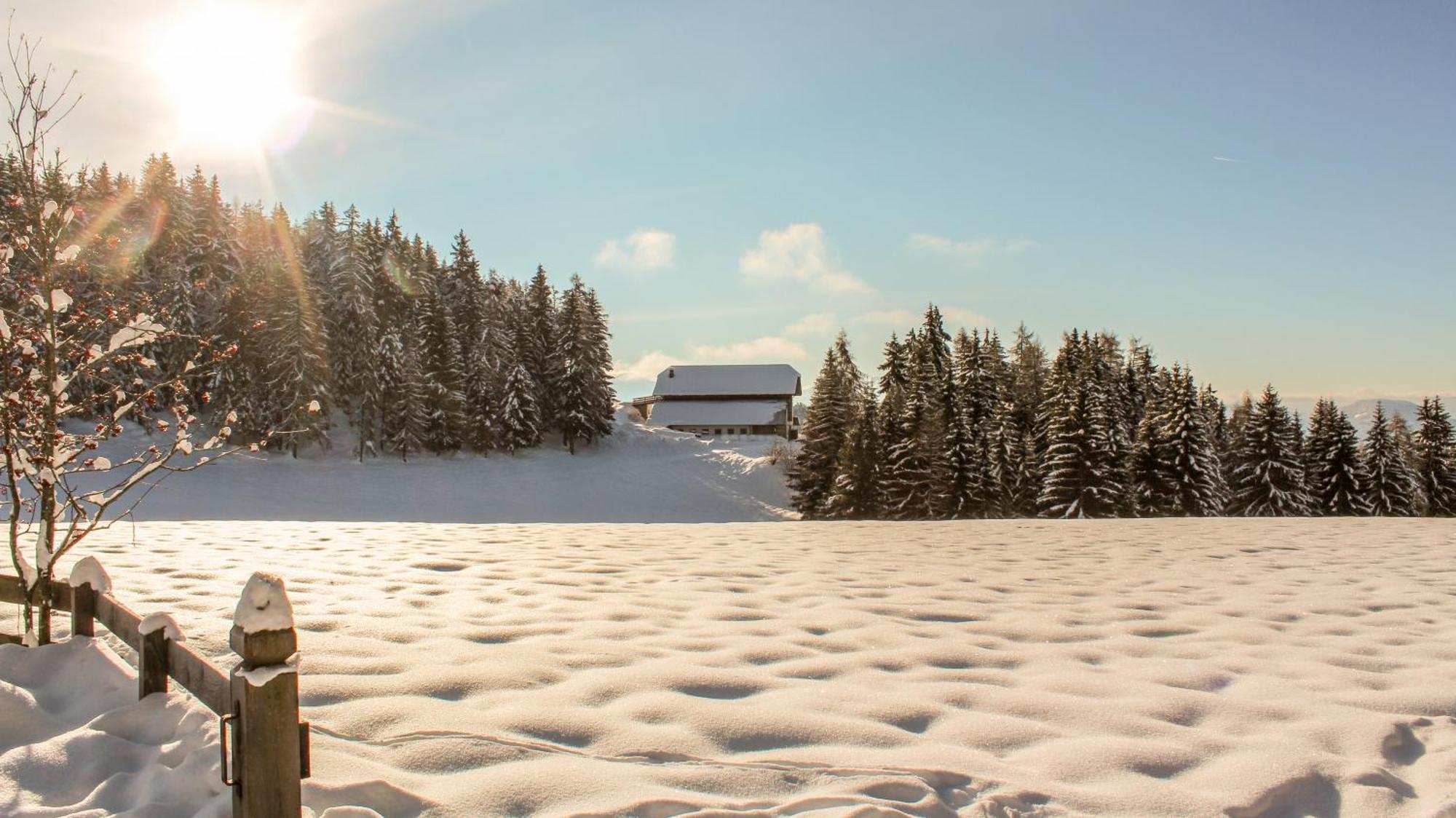 Berghotel Zum Zirm Collalbo Exteriér fotografie