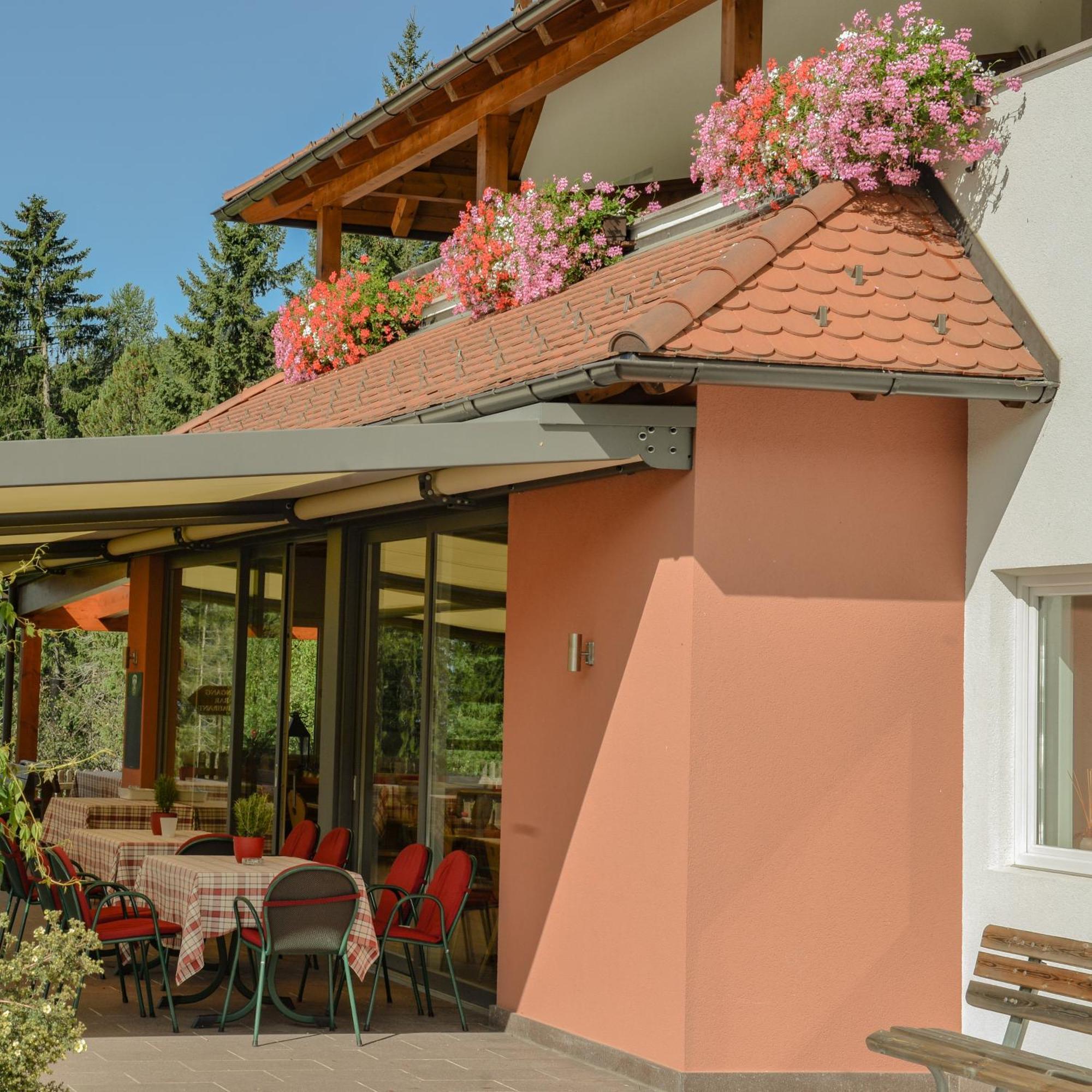 Berghotel Zum Zirm Collalbo Exteriér fotografie